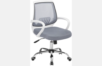 Компьютерное кресло Ergoplus, light gray / white
