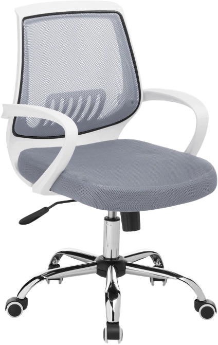 Компьютерное кресло Ergoplus, light gray / white