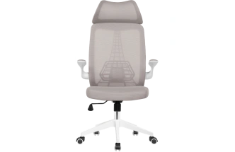 Компьютерное кресло Lokus, сетка серая