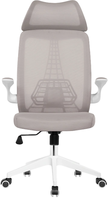 Компьютерное кресло Lokus, сетка серая