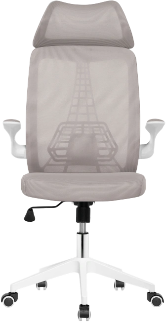Компьютерное кресло Lokus, сетка серая