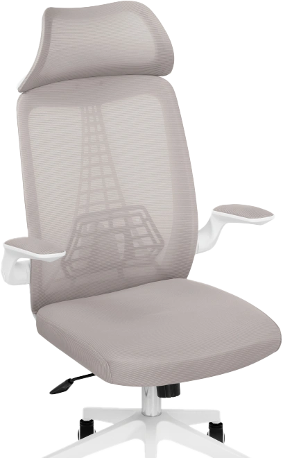 Компьютерное кресло Lokus, сетка серая