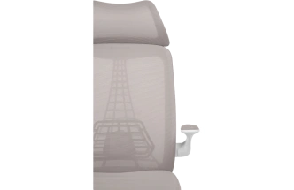 Компьютерное кресло Lokus, сетка серая