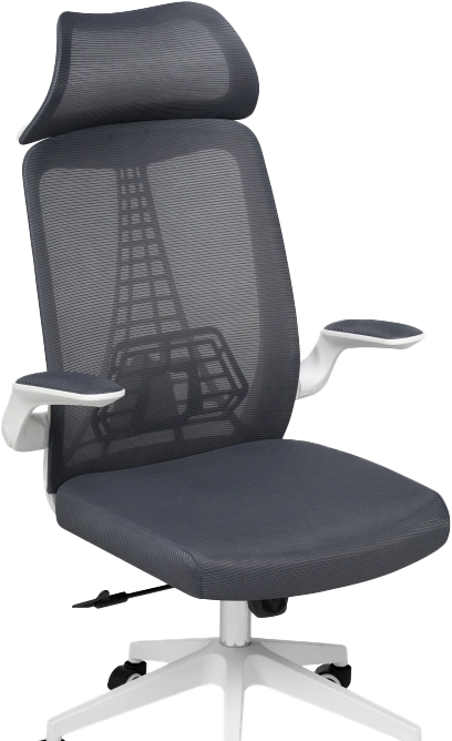Компьютерное кресло Lokus, сетка темно-серая