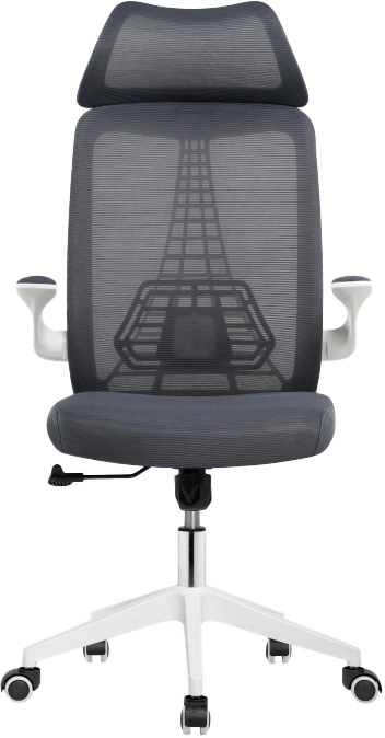 Компьютерное кресло Lokus, сетка темно-серая
