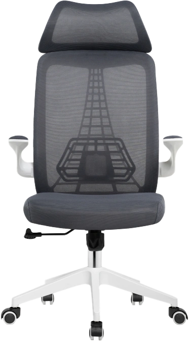 Компьютерное кресло Lokus, сетка темно-серая