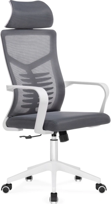 Компьютерное кресло Montana, темно-серый / белый