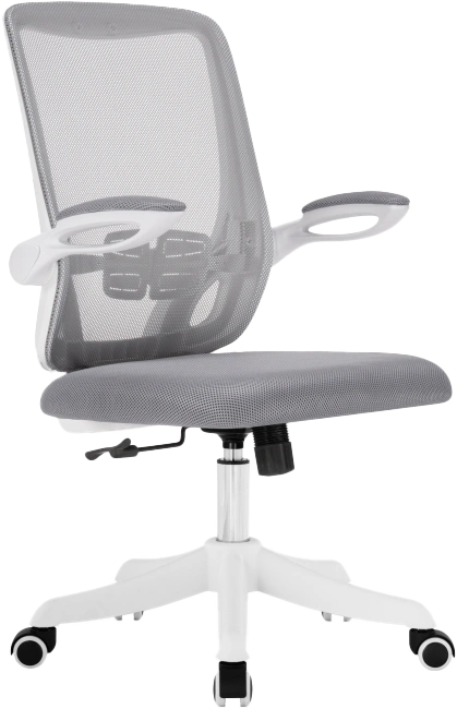 Компьютерное кресло Salem, gray / white