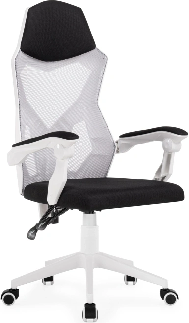 Компьютерное кресло Torino, серый / белый