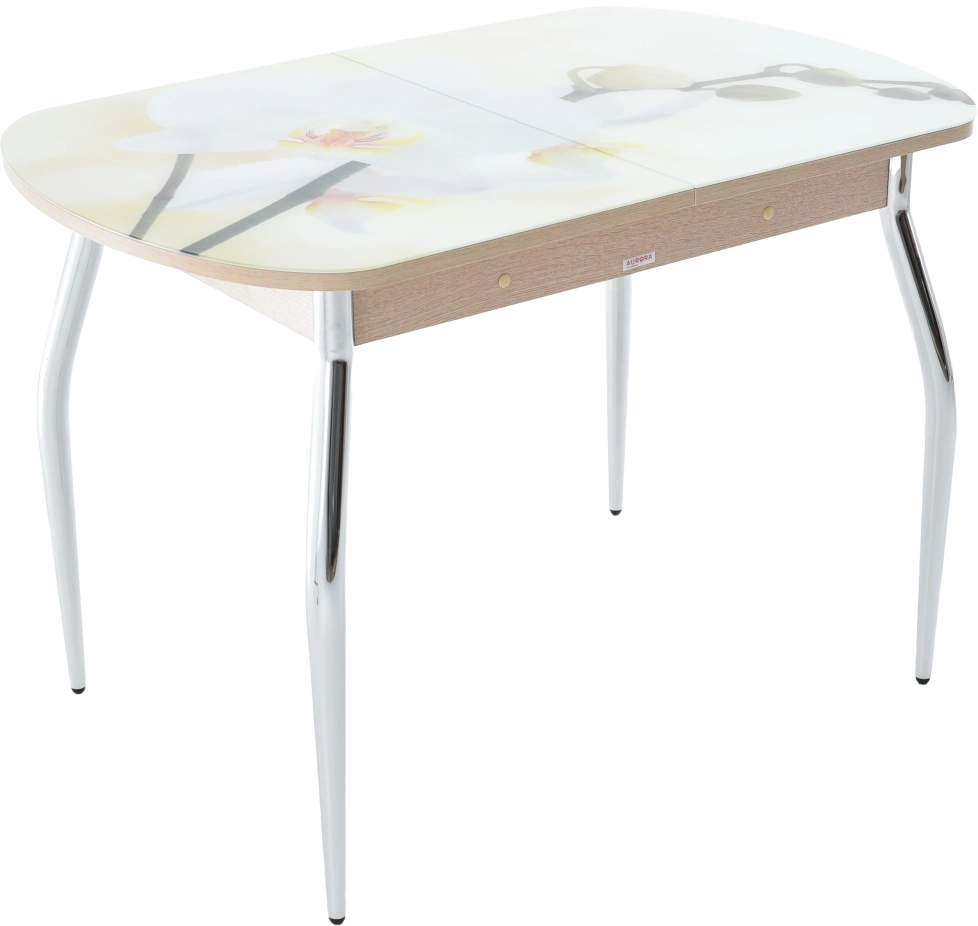 Кухонный стол Ривьера, фотопечать Цветы-5, стекло, каркас хром