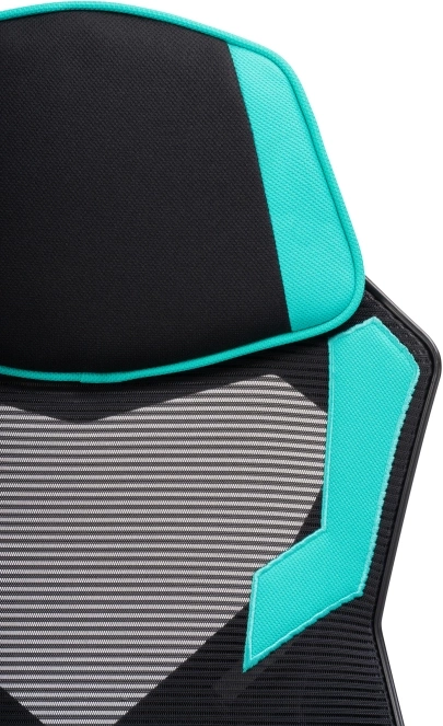 Компьютерное кресло Brun, tiffany / black