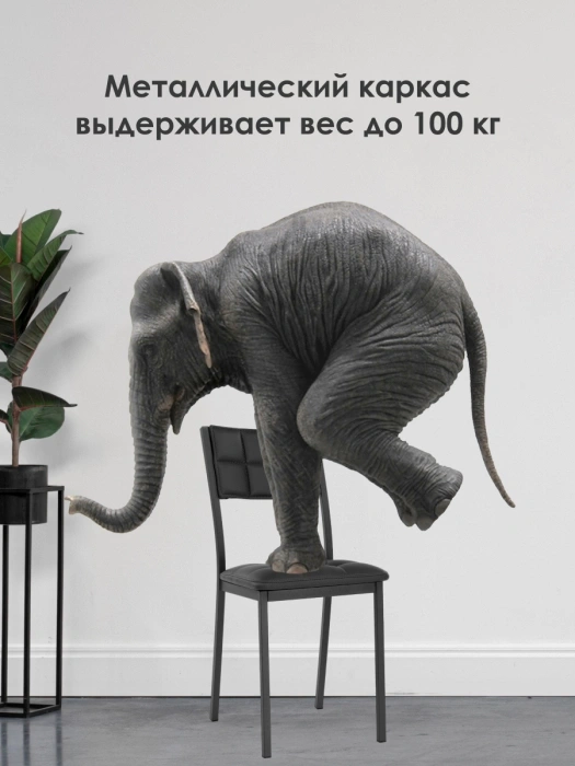 Стул на металлокаркасе Бекал, экокожа черный / матовый черный