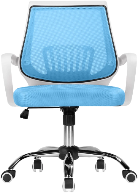 Компьютерное кресло Ergoplus, blue / white