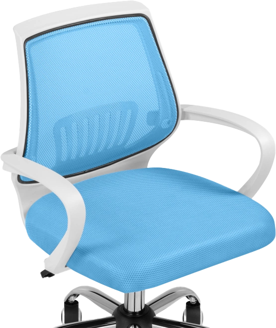 Компьютерное кресло Ergoplus, blue / white