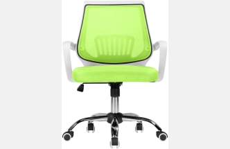 Компьютерное кресло Ergoplus, green / white