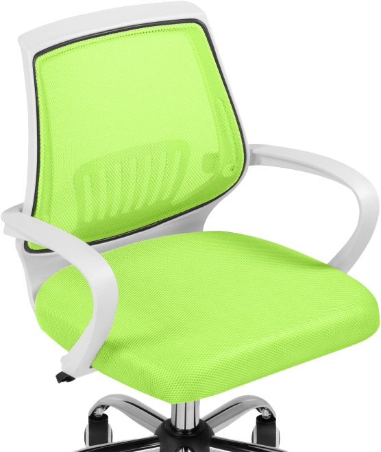 Компьютерное кресло Ergoplus, green / white