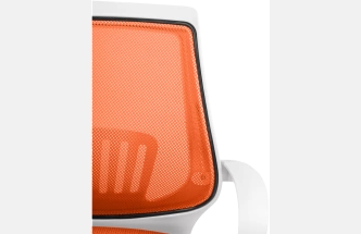 Компьютерное кресло Ergoplus, orange / white