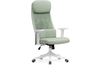 Компьютерное кресло Salta, светло-зеленый / белый