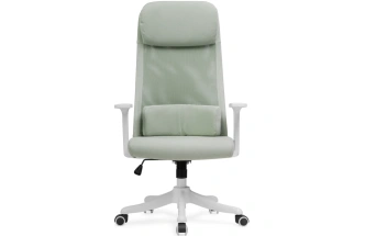 Компьютерное кресло Salta, светло-зеленый / белый