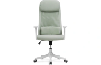 Компьютерное кресло Salta, светло-зеленый / белый