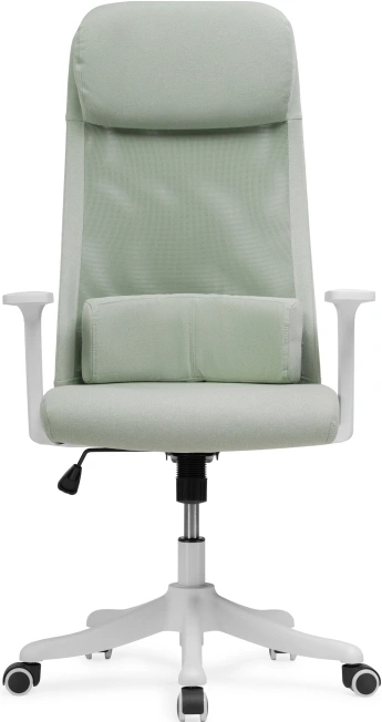 Компьютерное кресло Salta, светло-зеленый / белый