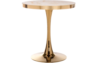 Кухонный стол Dorian 70x76, МДФ, white, каркас золотой 