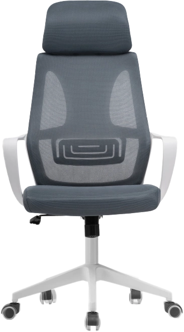Офисное кресло Golem, с подголовником, dark gray / white